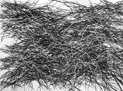 Geflecht par Karen Roßki, Dessin en vente sur Singulart