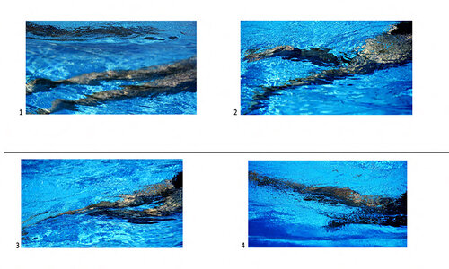 METAMORFOSI DEL CORPO UMANO di danilo susi, Fotografia in vendita su Singulart