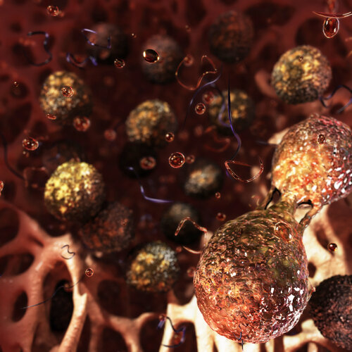 Cellular-Matrix-Inner-Architecture de Craig Zuckerman, Digital a la venta en Singulart