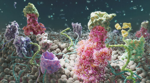 Dynamic Surface de Craig Zuckerman, Digital a la venta en Singulart