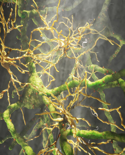 Inner-Light-2 de Craig Zuckerman, Digital a la venta en Singulart