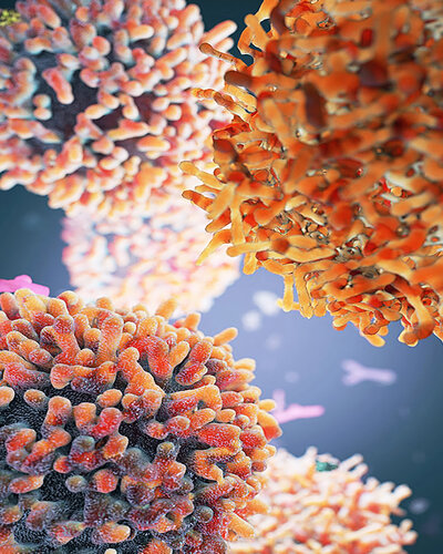 Microscopic Worlds-1 de Craig Zuckerman, Digital a la venta en Singulart