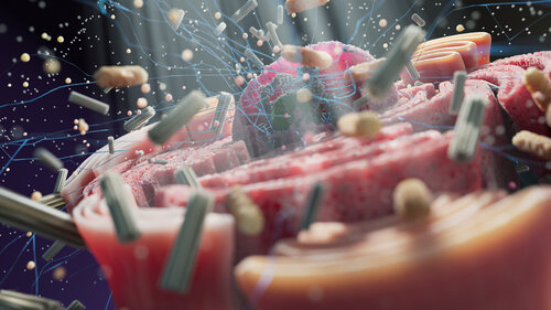 Cellular Constellations de Craig Zuckerman, Digital a la venta en Singulart