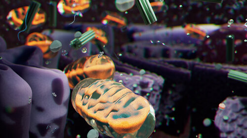 BioSpatial de Craig Zuckerman, Digital a la venta en Singulart