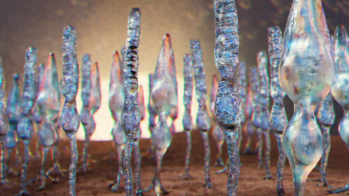 Fineart Photoreceptors by Craig Zuckerman, Digital for Sale on Singulart