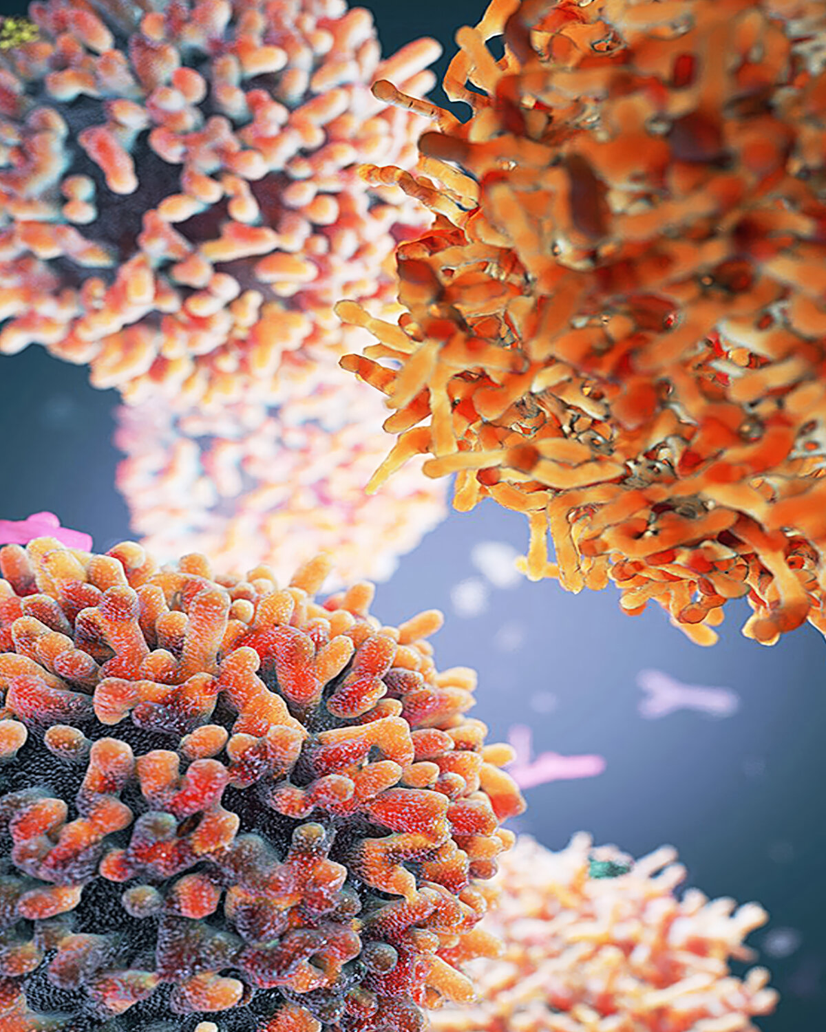 Microscopic Worlds-1 Craig Zuckerman