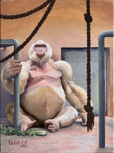 “Copito de nieve” by Tulio Capcha, Painting for Sale on Singulart