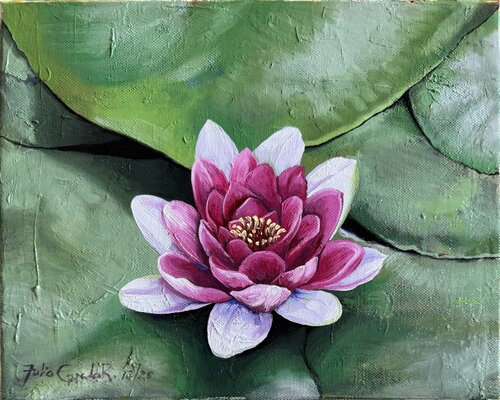 Nenúfar sobre hojas by Tulio Capcha, Painting for Sale on Singulart
