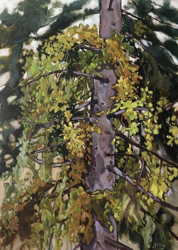 ''The tree'' van Raffi Ghazaryan, Schilderij te koop op Singulart