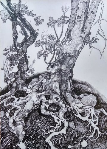 ''Tree'' von Raffi Ghazaryan, Zeichnungen kaufen auf Singulart