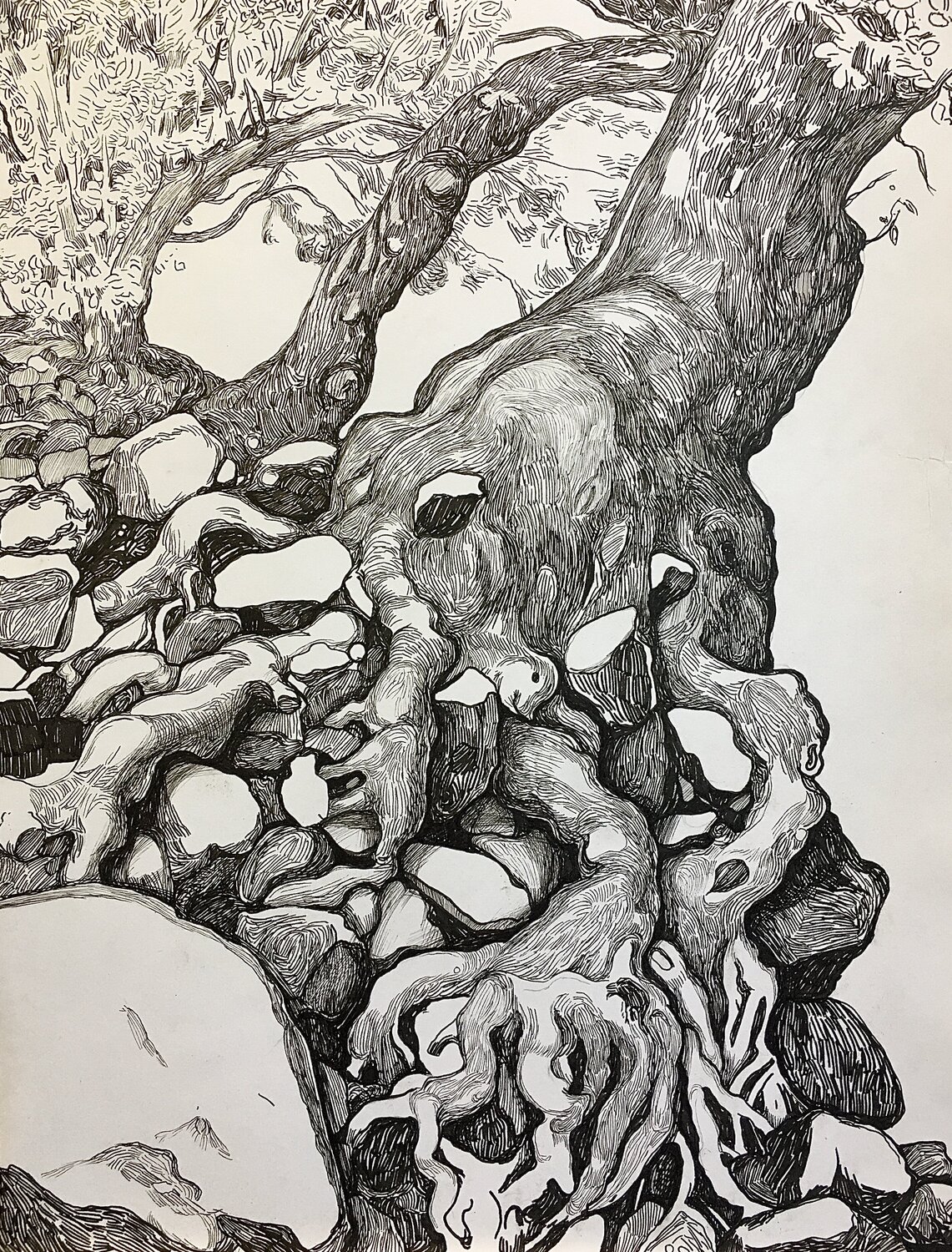 ''Struggle'' Raffi Ghazaryan