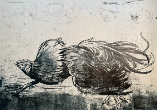 maneuver van Julio Cesar Cepeda Duque, Tekening te koop op Singulart