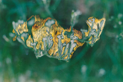 Unknown Object par Markéta Šafáriková, Photographie en vente sur Singulart