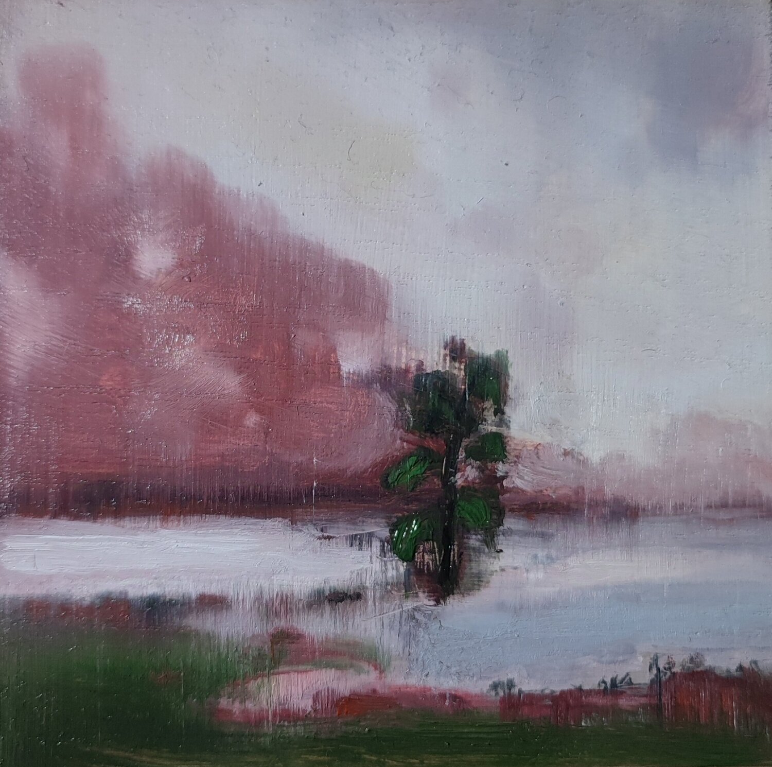 Ciel rouge sur le marais FRANÇOISE LUCQ