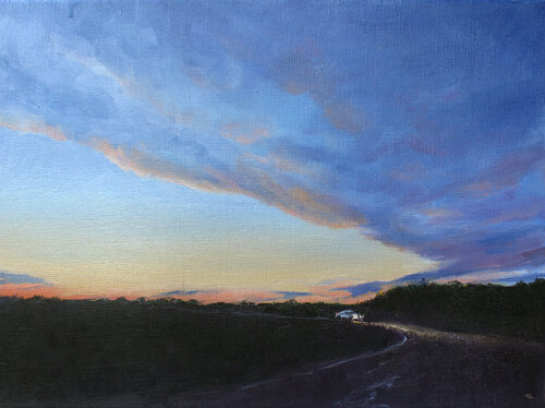 Take me home van Volha Milashevich-Valentynovich, Schilderij te koop op Singulart