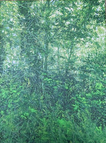 My secret garden by Djos Janssens, Other Media for Sale on Singulart