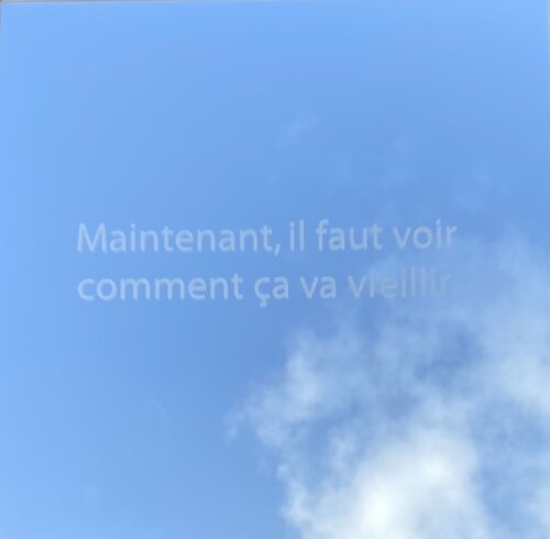 Maintenant, il faut voir comment ça va vieillir de Djos Janssens, Otros medios a la venta en Singulart