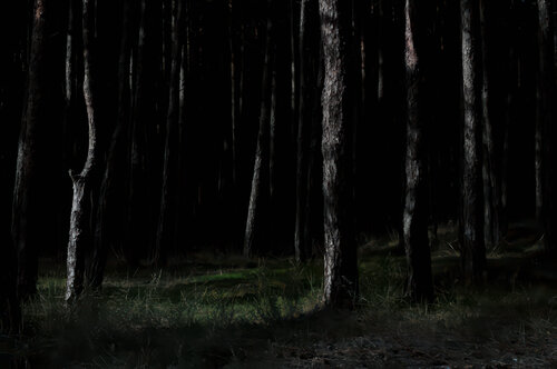 Utopia par Lucie Ternisien, Photographie en vente sur Singulart