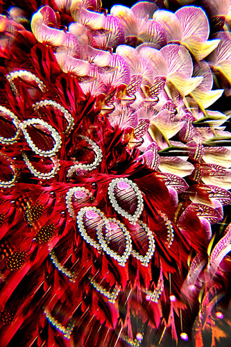 Venezianische-Orchidee-I by Diana Weil, 사진 for Sale on Singulart