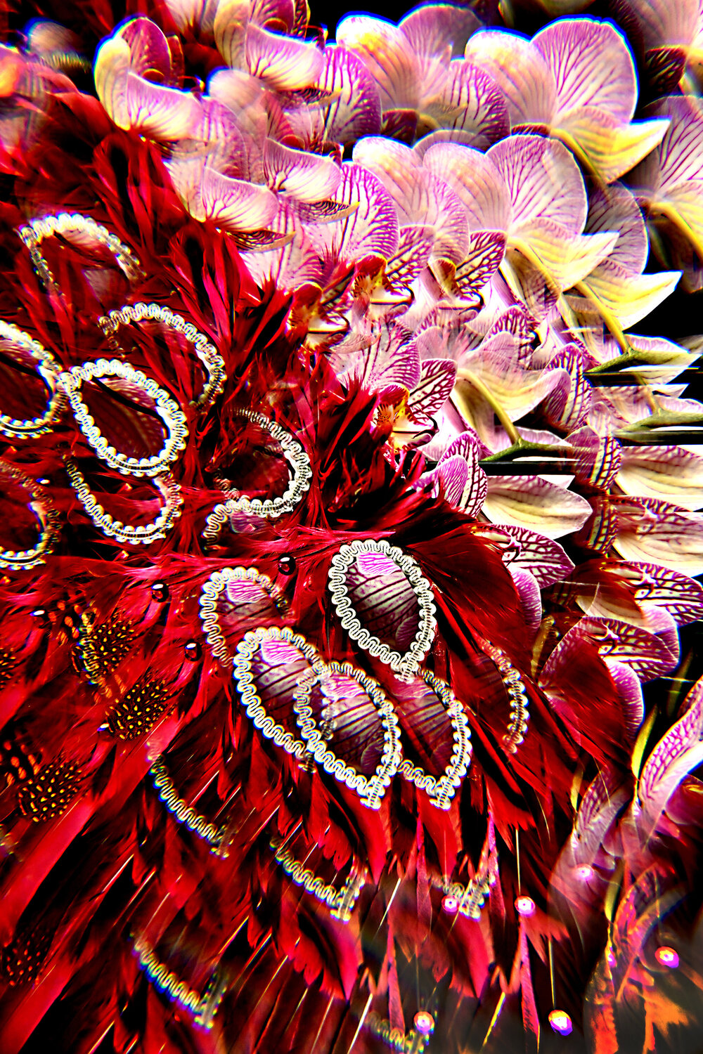 Venezianische-Orchidee-I Diana Weil