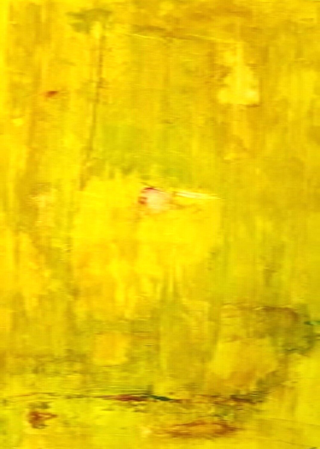 Spätsommer Jutta Bittner