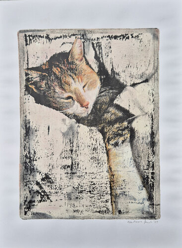 Schlafende Katze I di Eva-Maria Arnold, Opera su carta in vendita su Singulart