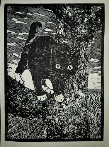 Katze auf dem Baum von Eva-Maria Arnold, Druck kaufen auf Singulart