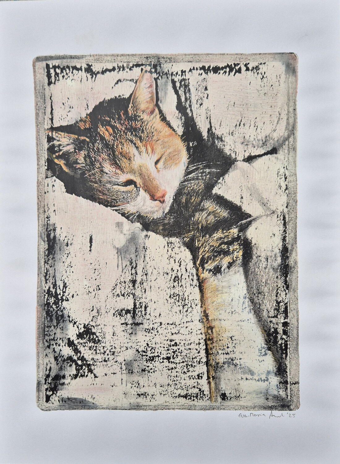 Schlafende Katze I Eva-Maria Arnold
