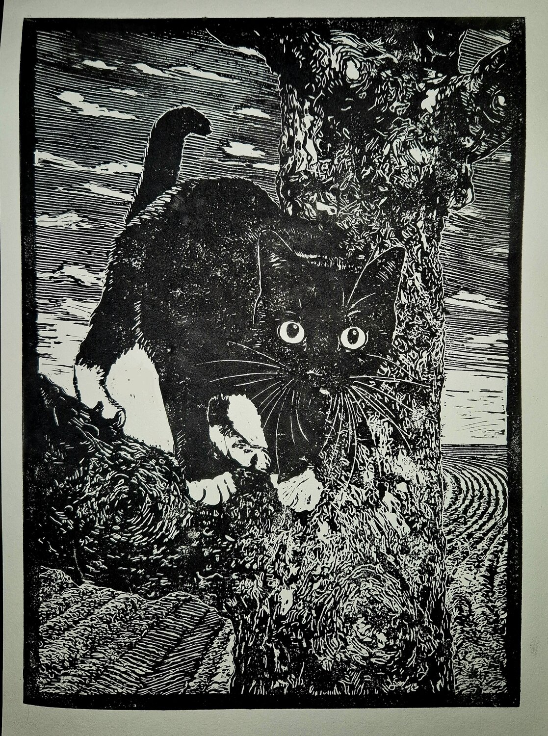 Katze auf dem Baum Eva-Maria Arnold