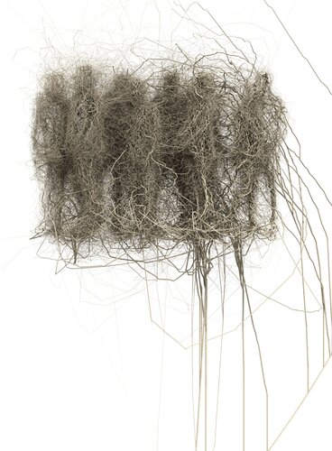 anidados van Manuel Lareo Fernandez, Digitaal te koop op Singulart