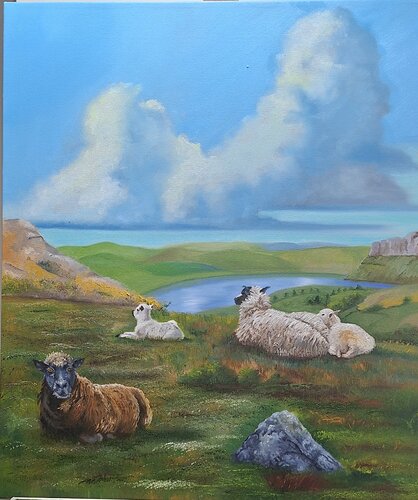 Sheep - contemplation without awareness van Luiz Henrique da Rocha Azevedo, Schilderij te koop op Singulart