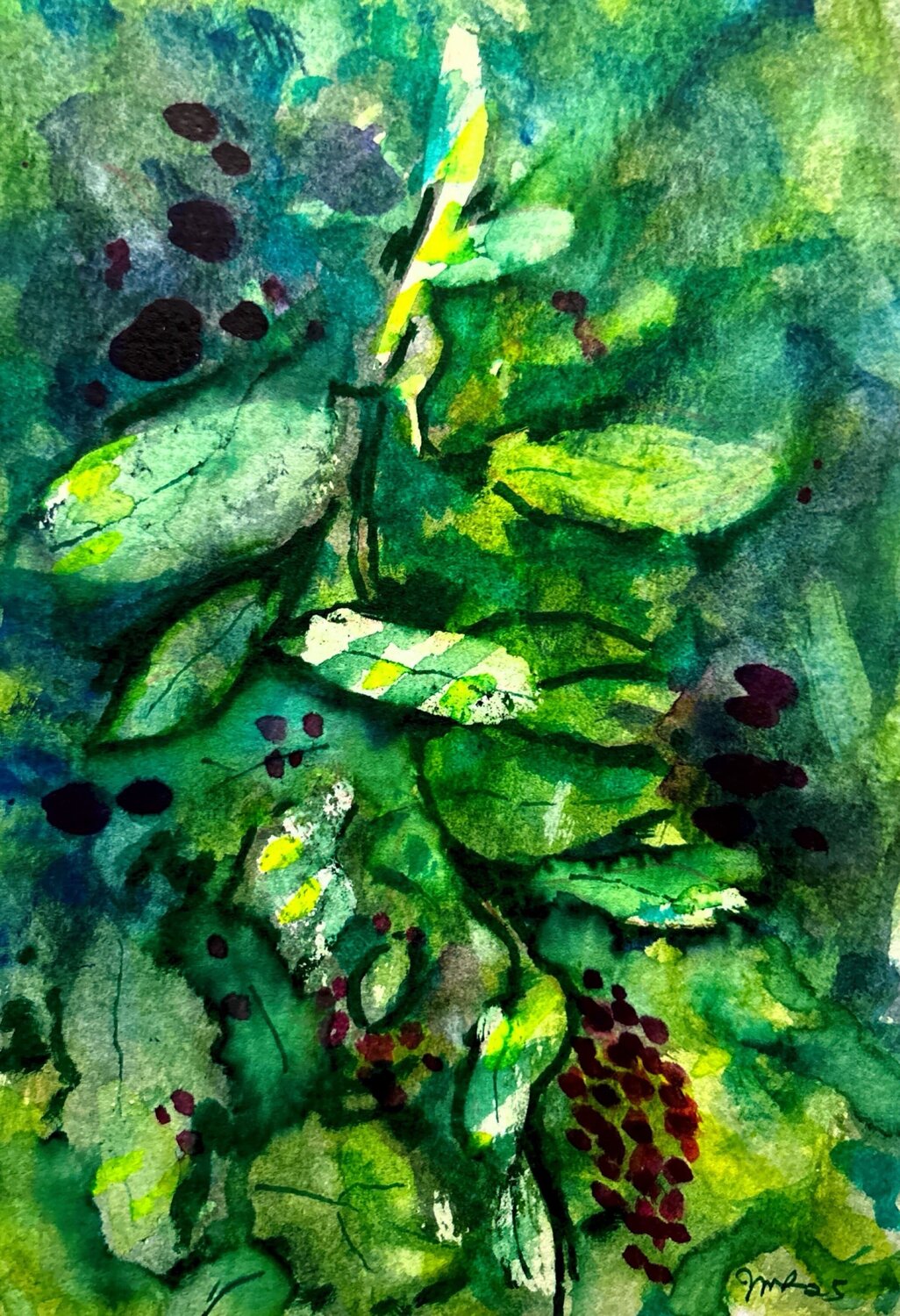 Sunlit Pokeweed Janet LaPelusa