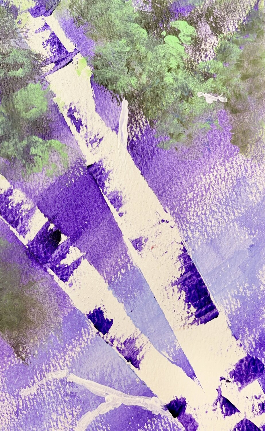 Purple Birch Janet LaPelusa