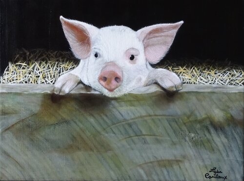 Porcelet - piglet (in American-style frame) by Lydia Habers-Canclaux, Painting for Sale on Singulart
