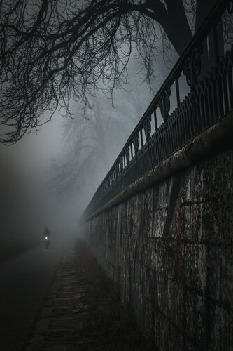 Der Weg verschwindet die Reise bleibt von Mirko Hochmuth, Fotografie kaufen auf Singulart