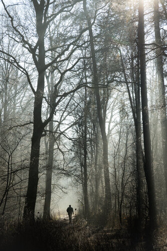 Ein stiller Gang ins Licht par Mirko Hochmuth, Photographie en vente sur Singulart