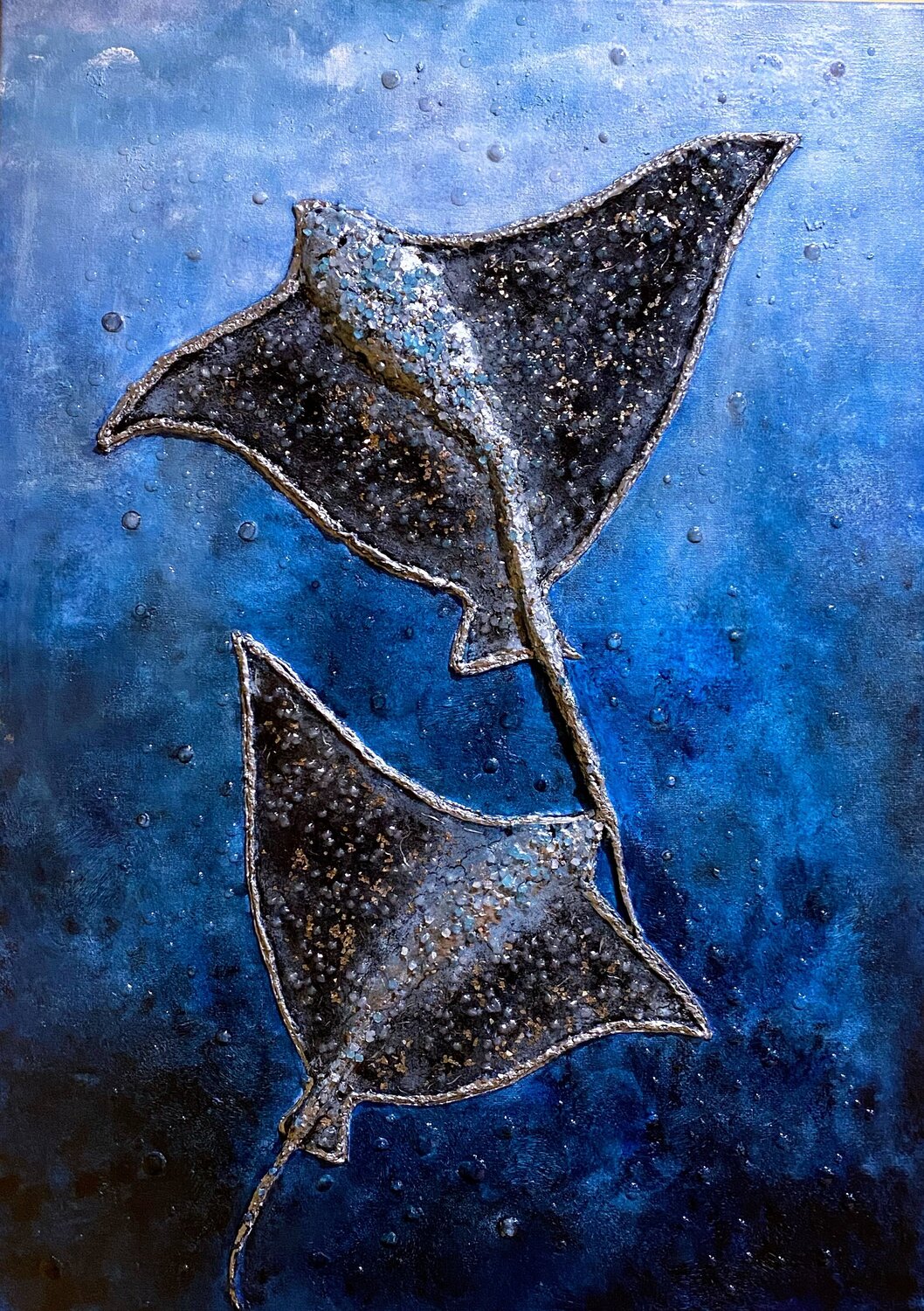 Rayas marina Barda Forcada Gomez