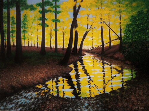 Craig Creek Falls di Charles Hill, Pittura in vendita su Singulart