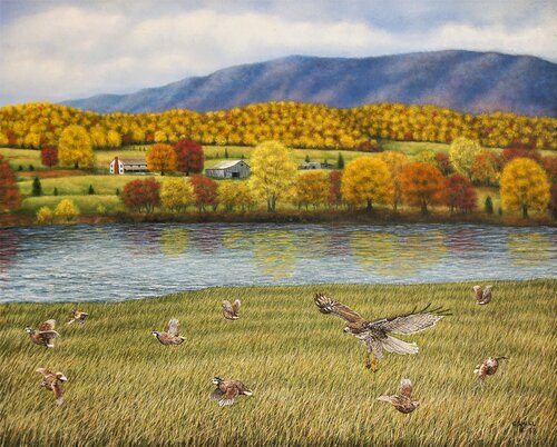 Shenandoah Valley Hawk di Charles Hill, Pittura in vendita su Singulart