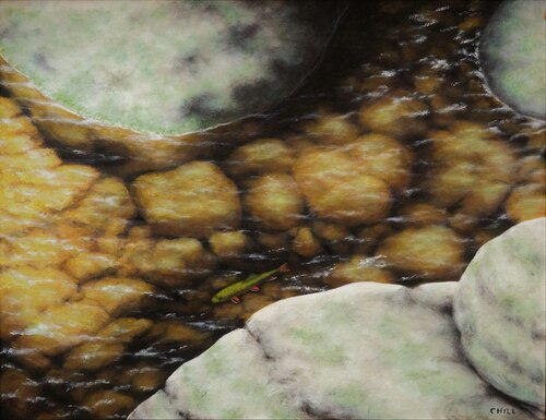 Trout Rock van Charles Hill, Schilderij te koop op Singulart