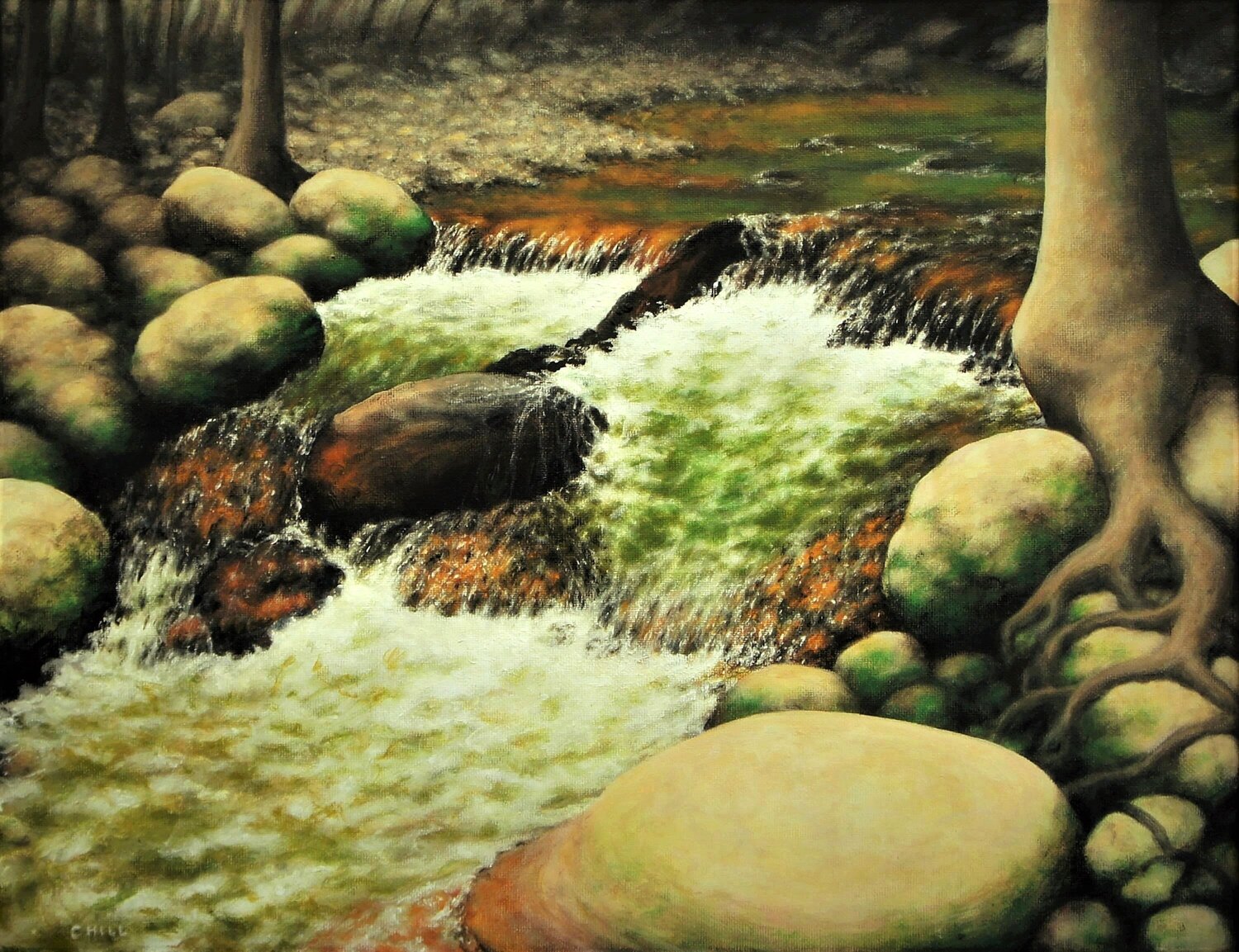 Black Rock Falls Charles Hill