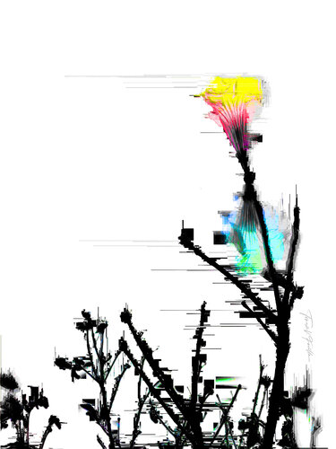 Ypê n.5 di Tomaz Favilla, Digitale in vendita su Singulart