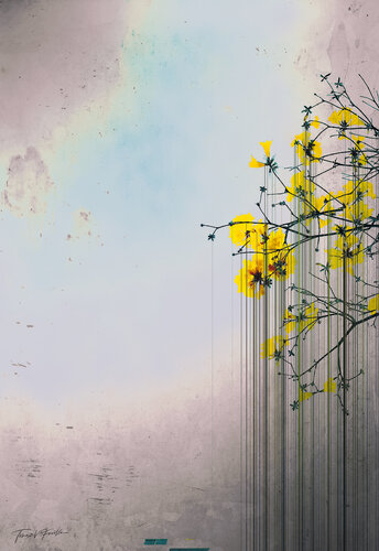 Flowers Should Not Cry di Tomaz Favilla, Digitale in vendita su Singulart