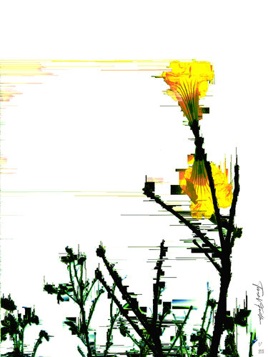 Ypê n.3 - 1/25 SPECIAL LIMITED EDITION von Tomaz Favilla, Digital kaufen auf Singulart