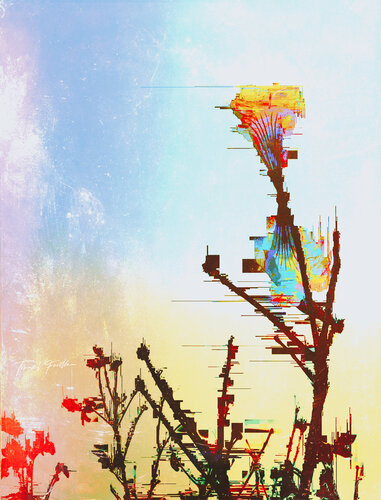 Ypê n.888 de Tomaz Favilla, Digital a la venta en Singulart