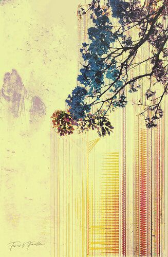 Trees Tell Wonderous and Beautiful Stories di Tomaz Favilla, Digitale in vendita su Singulart