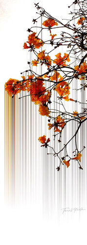 Tears of the Sakura (max 100x280cm) di Tomaz Favilla, Digitale in vendita su Singulart