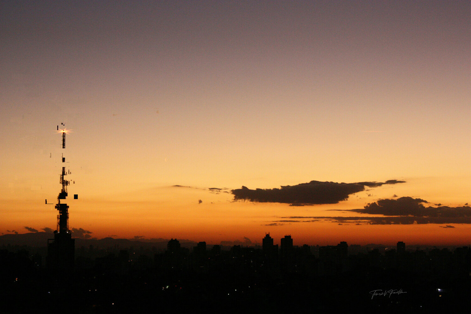 Flare Tomaz Favilla