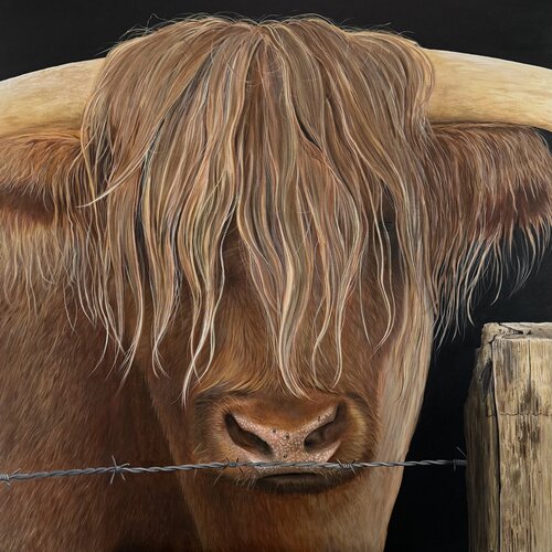 Hochlandrind von Berbel Beseke Art, Malerei kaufen auf Singulart