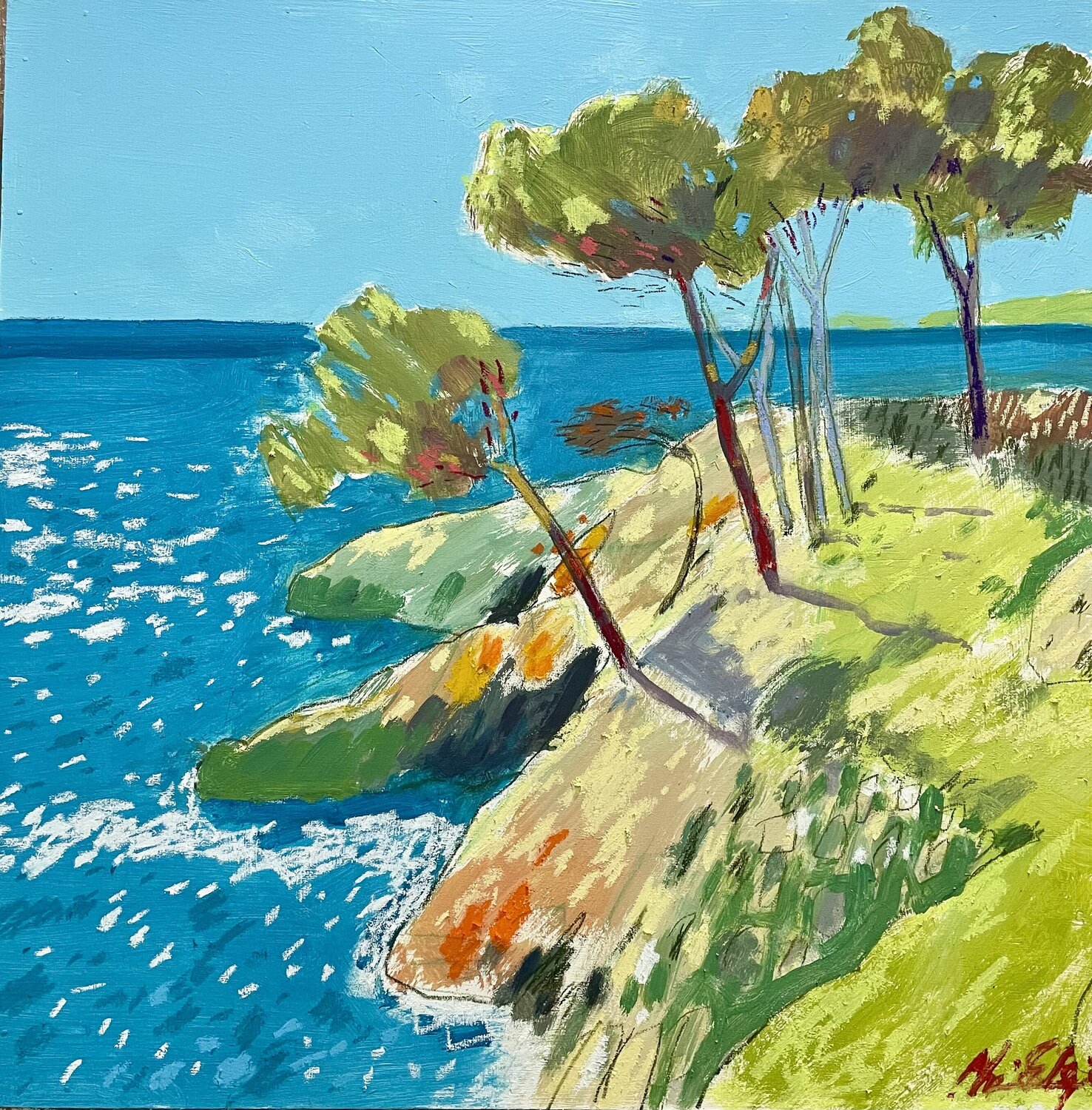 Punta Negra, Mallorca Adrian Elgie